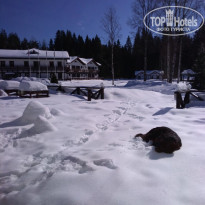 фото из отзыва ID 1718743