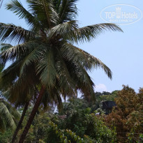 фото из отзыва ID 1718809