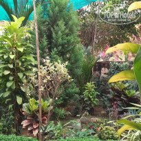 фото из отзыва ID 1718809