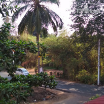 фото из отзыва ID 1718809