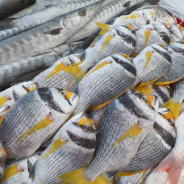 фото из отзыва ID 1718904