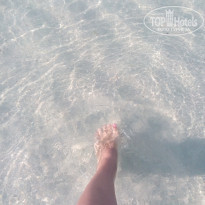 фото из отзыва ID 1718904