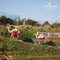 фото из отзыва ID 1718969