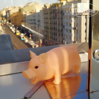 фото из отзыва ID 1718992