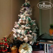 фото из отзыва ID 1718992