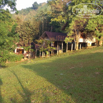 фото из отзыва ID 1719039