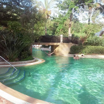 фото из отзыва ID 1719161