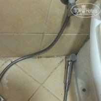 фото из отзыва ID 1719238