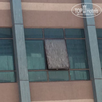 фото из отзыва ID 1719238