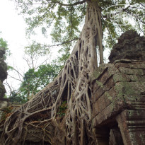 фото из отзыва ID 1719241