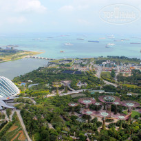 фото из отзыва ID 1719271