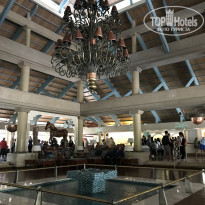 фото из отзыва ID 1719422