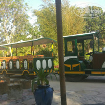 фото из отзыва ID 1719467