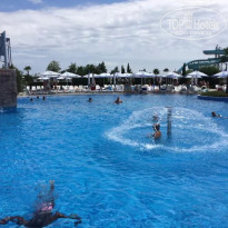 фото из отзыва ID 1719478