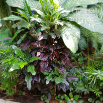 фото из отзыва ID 1719587