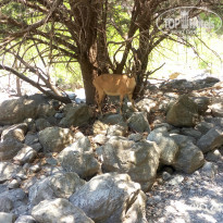 фото из отзыва ID 1719681