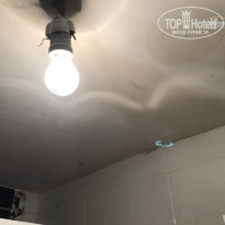 фото из отзыва ID 1719847