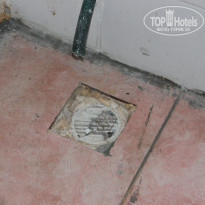 фото из отзыва ID 1719883