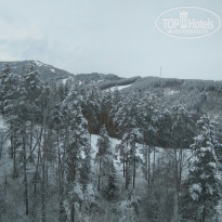 фото из отзыва ID 1719948