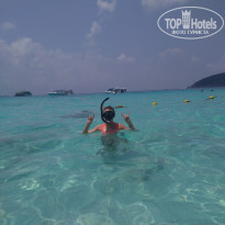 фото из отзыва ID 1718155