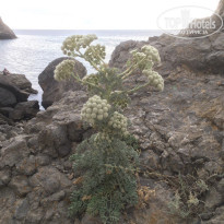 фото из отзыва ID 1719641