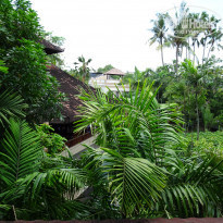 фото из отзыва ID 1711836