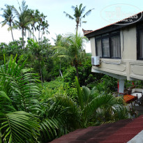 фото из отзыва ID 1711836