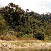 фото из отзыва ID 1712930