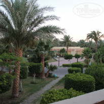 фото из отзыва ID 1716650