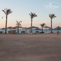 фото из отзыва ID 1716650