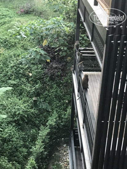 фото из отзыва ID 1716715