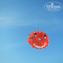 фото из отзыва ID 1710933