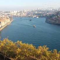 фото из отзыва ID 1714413