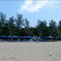 фото из отзыва ID 1710933