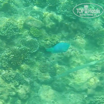 фото из отзыва ID 1710933