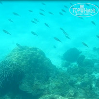 фото из отзыва ID 1710933