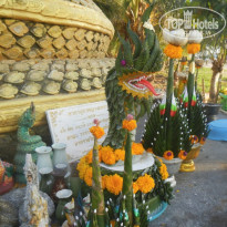 фото из отзыва ID 1710933