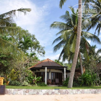 фото из отзыва ID 172203