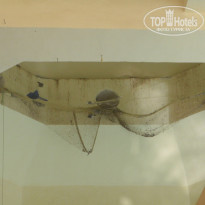 фото из отзыва ID 172583