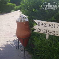 фото из отзыва ID 172583