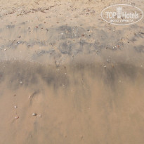 фото из отзыва ID 172583