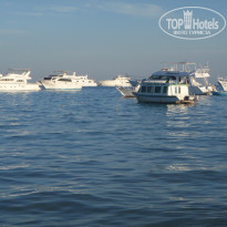 фото из отзыва ID 172583