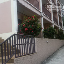 фото из отзыва ID 1720004