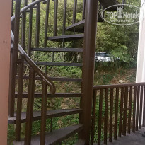 фото из отзыва ID 1720004