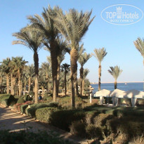 фото из отзыва ID 1720040