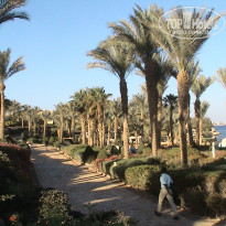 фото из отзыва ID 1720040