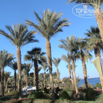 фото из отзыва ID 1720040