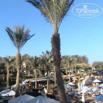 фото из отзыва ID 1720040