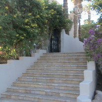 фото из отзыва ID 1720040