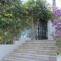 фото из отзыва ID 1720040